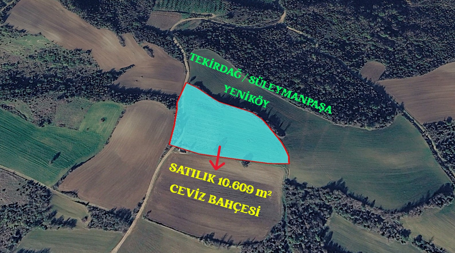 TEKİRDAĞ SÜLEYMANPAŞA YENİKÖY'DE 10.609 m² CEVİZ BAHÇESİ