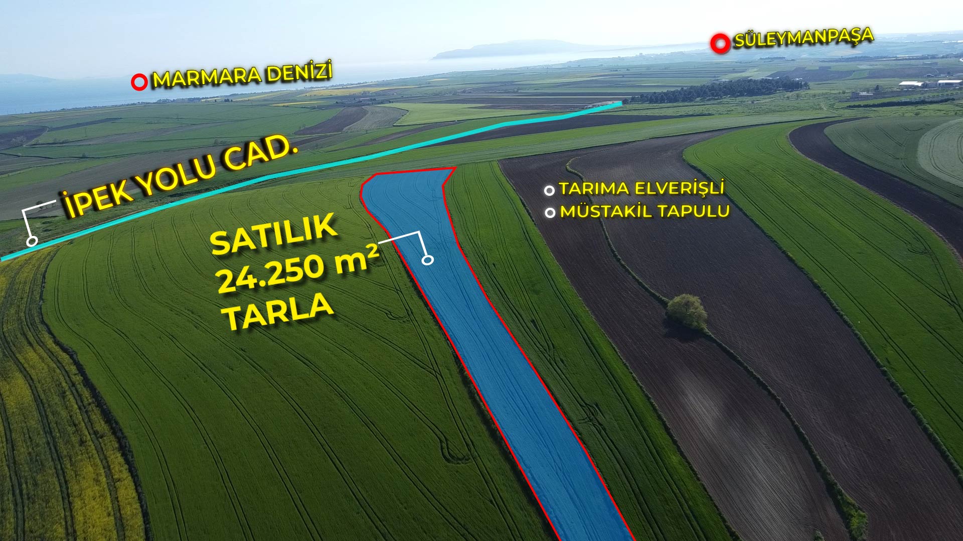 TEKİRDAĞ SÜLEYMANPAŞA KARAEVLİDE 24.250 m² YATIRIMLIK TARLA